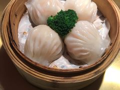 -南枝记