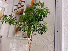 -Cafe on warm(丹霞店)