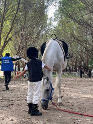 -熊孩子韩国儿童摄影(三义街店)