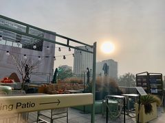 -三里屯东五街银杏大道