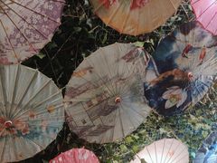 -海韵人家.海景花园经典云南菜(双廊店)