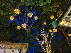 -醉月城西昌火盆烧烤(天府店)