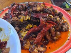 -柴窝堡22号辣子鸡·传承新疆菜