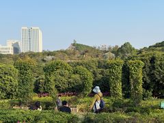 -东莞植物园