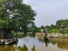 -花洲书院
