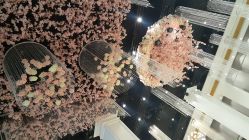 -喜宴酒店幸福里(星摩尔购物中心店)