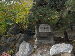 -白水寺森林公园