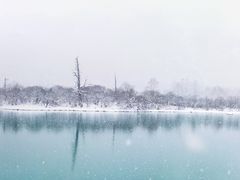 -桑吉林新派藏餐·汤锅·川菜
