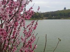-宜兴龙背山森林公园