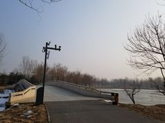 -东郊湿地公园