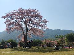 -风云岭森林公园