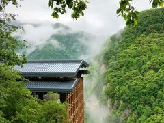 -陕西省红河谷森林公园