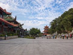 -神光山国家森林公园