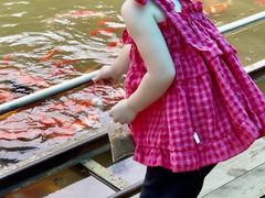 -陶祖圣境风景区