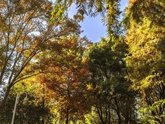 -THE PAWON·8碗(古北SOHO店)