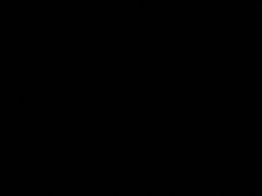 -晓港公园