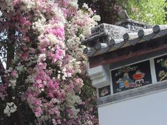 -深圳国际园林花卉博览园