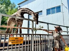 -水上乐园·欢乐世界