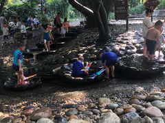-成都市活水公园
