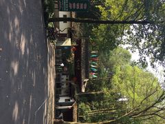 iphone_upload_pic-灵栖洞天