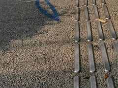 -成都市活水公园