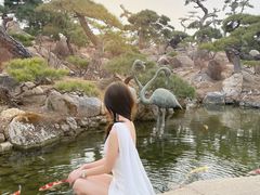 -罗红摄影艺术馆