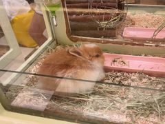 -龙猫仔乐园(惠福东路店)