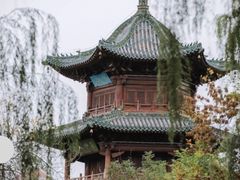 -迎泽公园