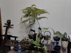 -道南書院·私房菜·早午茶·茶馆