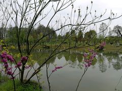 -悦兮半岛温泉度假酒店·餐厅部