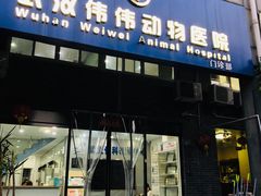 -伟伟宠物医院·CT影像中心·瑞派犬猫综合性门诊(汉口总院)