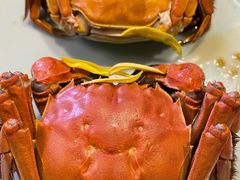 清蒸六月黄-蟹榭·本帮江浙菜·蟹宴(五角场合生汇商场店)