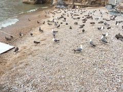 -海驴岛(荣成市)