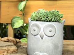 -北马山庄植趣咖啡