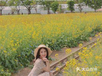 广州0元春游拍照圣地来看油菜花啦