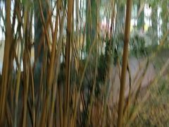 -大剧院(地铁站)
