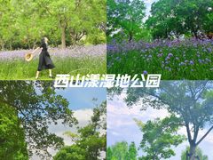 -西山漾湿地公园