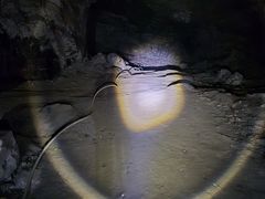 -仙蘑洞