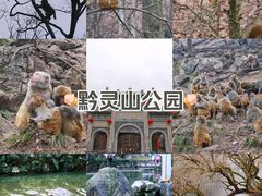 -黔灵山公园