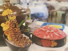 -鲜入围煮花胶鸡海鲜火锅