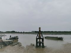 -大湾区中央湿地公园-十九涌