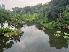 -云溪植物园