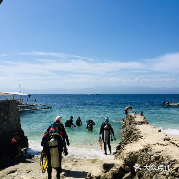 颠簸了两个多小时就为了看沙丁鱼风暴，确实很壮观