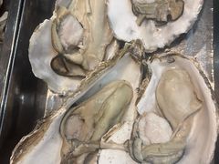 -胶东海鲜大排档(北太平庄店)