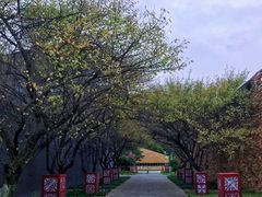 -国际非物质文化遗产博览园