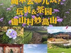 -锄山村