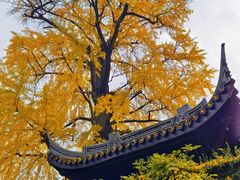 -惠山古镇·寄畅园