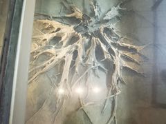 -金沙遗址博物馆