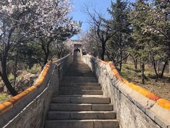 -妙峰山风景名胜区