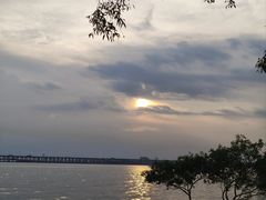 -宝安西湾红树林湿地公园